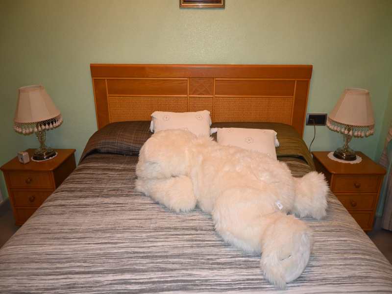 Urbanización Rubí I, 30380, 3 Habitaciones Habitaciones, ,2 BathroomsBathrooms,Apartamento,En Venta,Rubí,3,1199