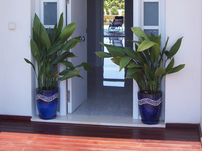 Veneciola Poligono E109, 30380, 5 Habitaciones Habitaciones, ,3 BathroomsBathrooms,Casa de Campo,En Venta,1,1264