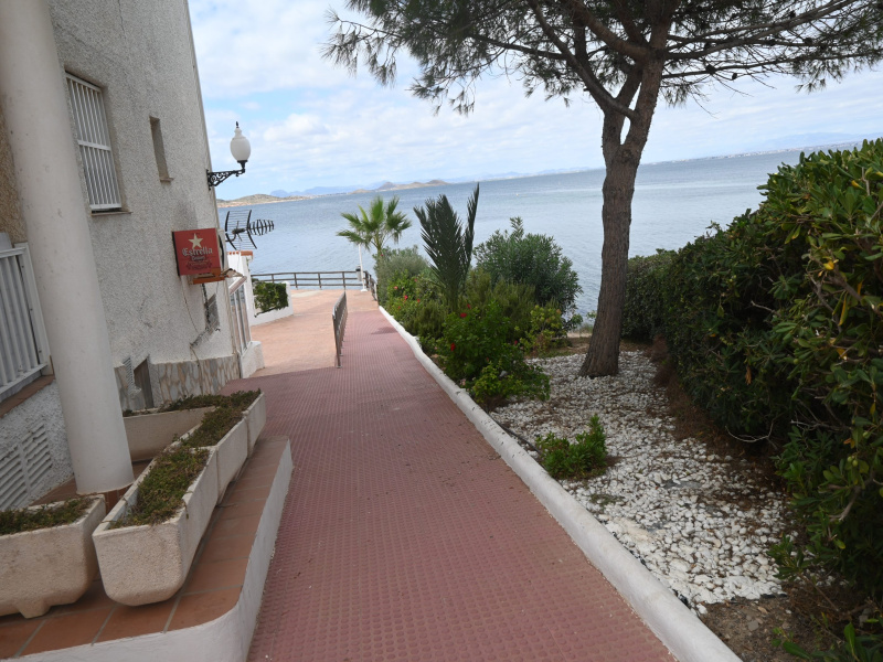 Urb. Parque el Pedrucho, 30380, 3 Habitaciones Habitaciones, ,1 BañoBathrooms,Apartamento,En Venta,1304