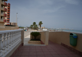 Las Palmeras, 30380, ,Terreno,En Venta,-1,1335