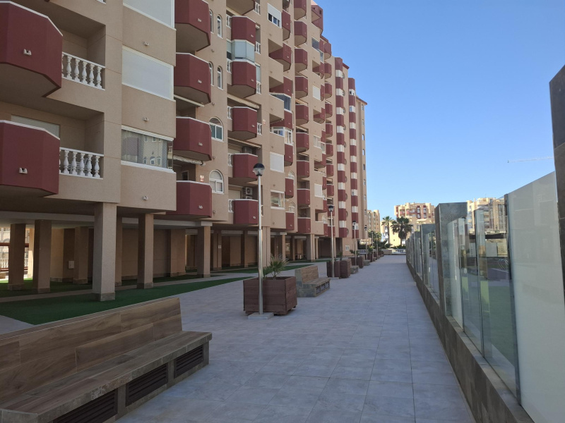 Urb. Las Palmeras, 30380, 1 Dormitorio Habitaciones, ,1 BañoBathrooms,Apartamento,En Venta,2,1337
