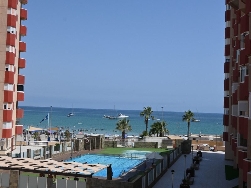 Urb. Las Palmeras, 30380, 1 Dormitorio Habitaciones, ,1 BañoBathrooms,Apartamento,En Venta,2,1337